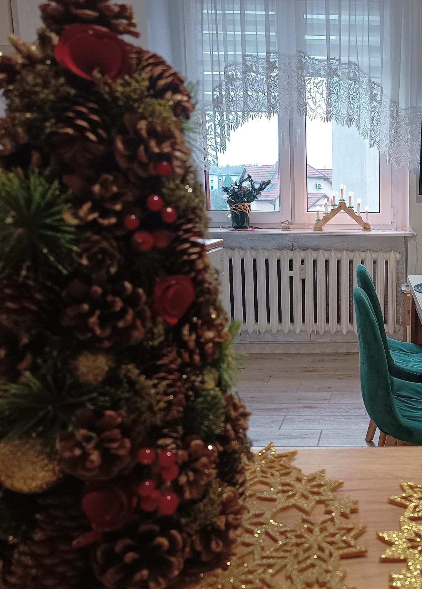 Szmaragdowy Apartament Przy Ulicy Opolskiej Tarnowskie Góry Exterior foto